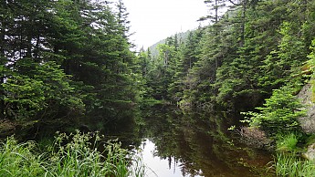 IMG_1949.jpg