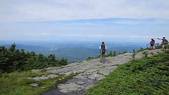 IMG_1954.jpg