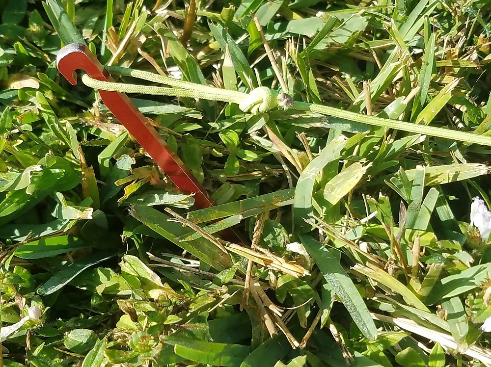 MSR Needle Tent Stakes Reviews Trailspace