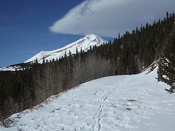 DSCF0546.jpg