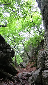 IMG_1652.jpg