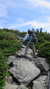 IMG_1978.jpg