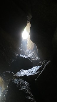 IMG_1667.jpg