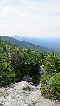 IMG_1979.jpg