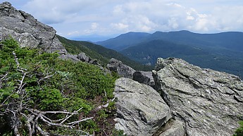 IMG_1982.jpg