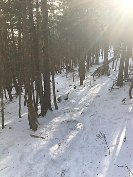 18150F01-2842-47DE-930B-B6DF96107479.jpg