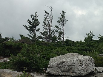 IMG_3622.jpg