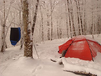 TRIP-105-141-L.jpg