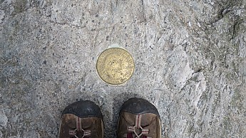 IMG_2022.jpg