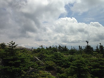IMG_3790.jpg