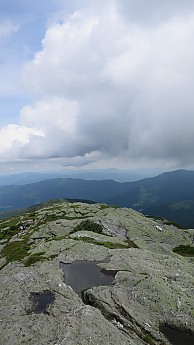 IMG_2035.jpg