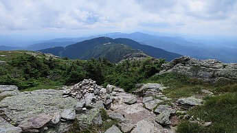IMG_2041.jpg