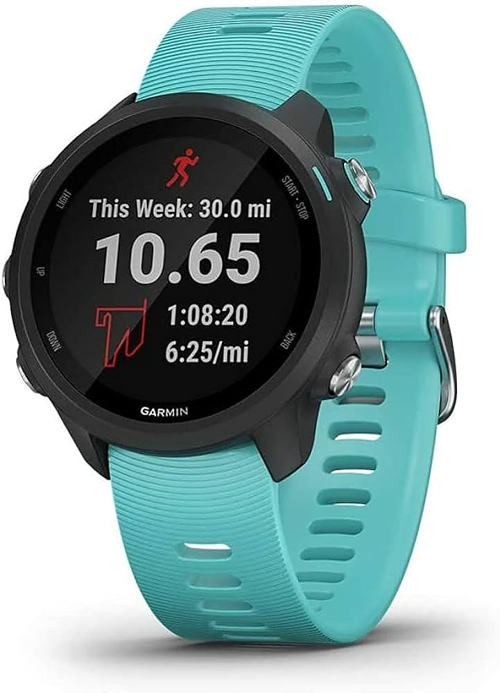 photo: Garmin Forerunner 245 Music gps watch