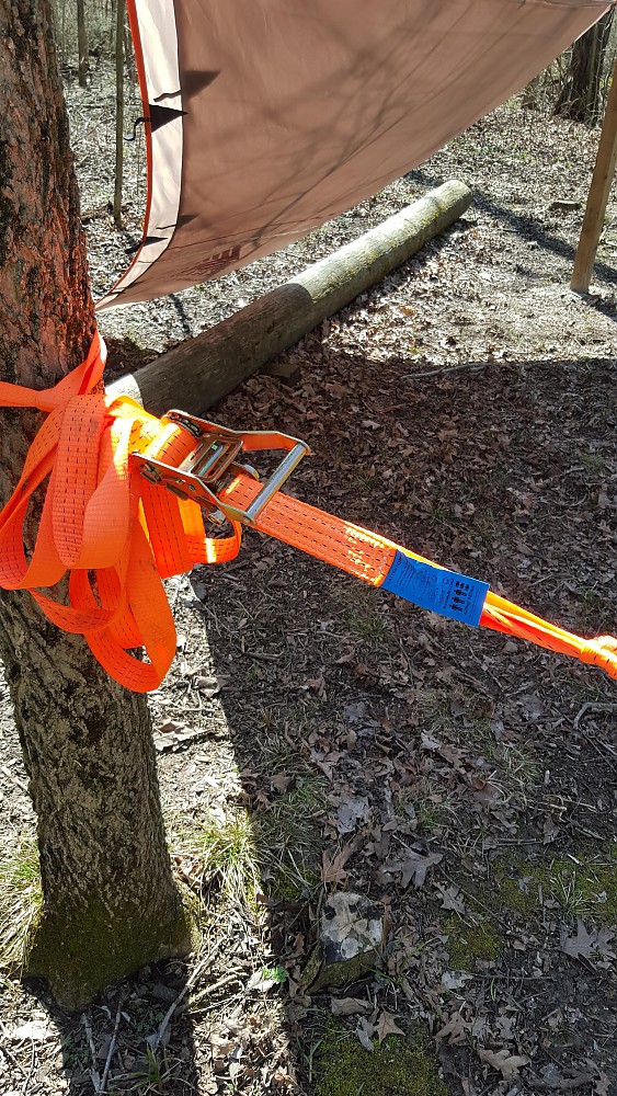 Tentsile Flite Tree Tent Reviews Trailspace