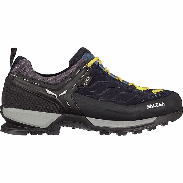 Salewa Mountain Trainer GTX