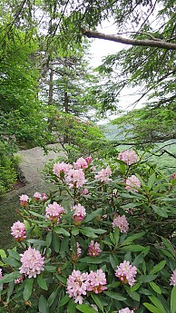 IMG_1752.jpg