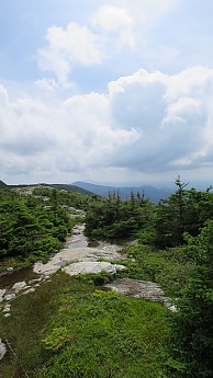 IMG_2056.jpg