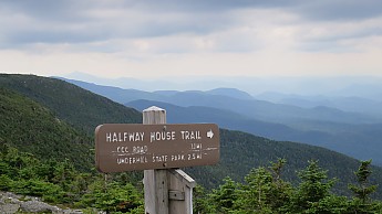 IMG_2058.jpg