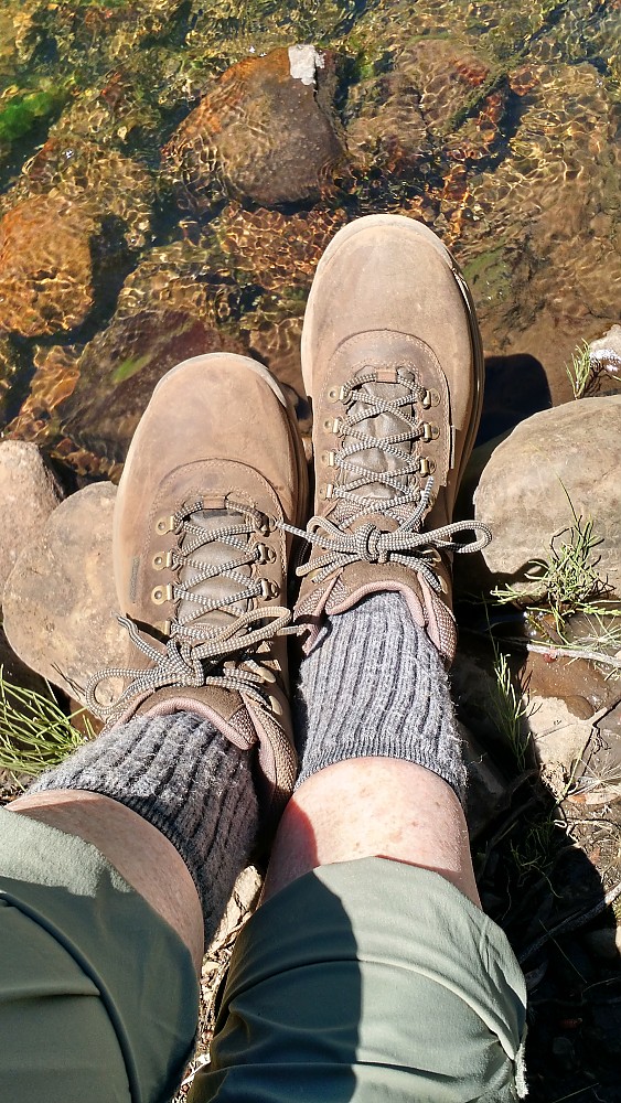 timberland white ledge review