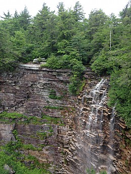 IMG_3751.jpg