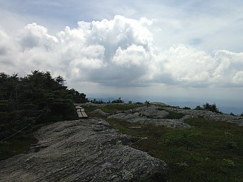 IMG_3816.jpg