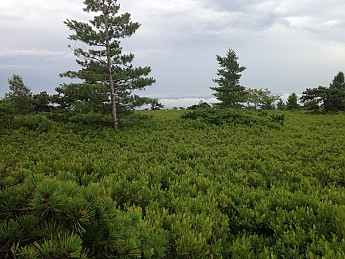 IMG_3759.jpg