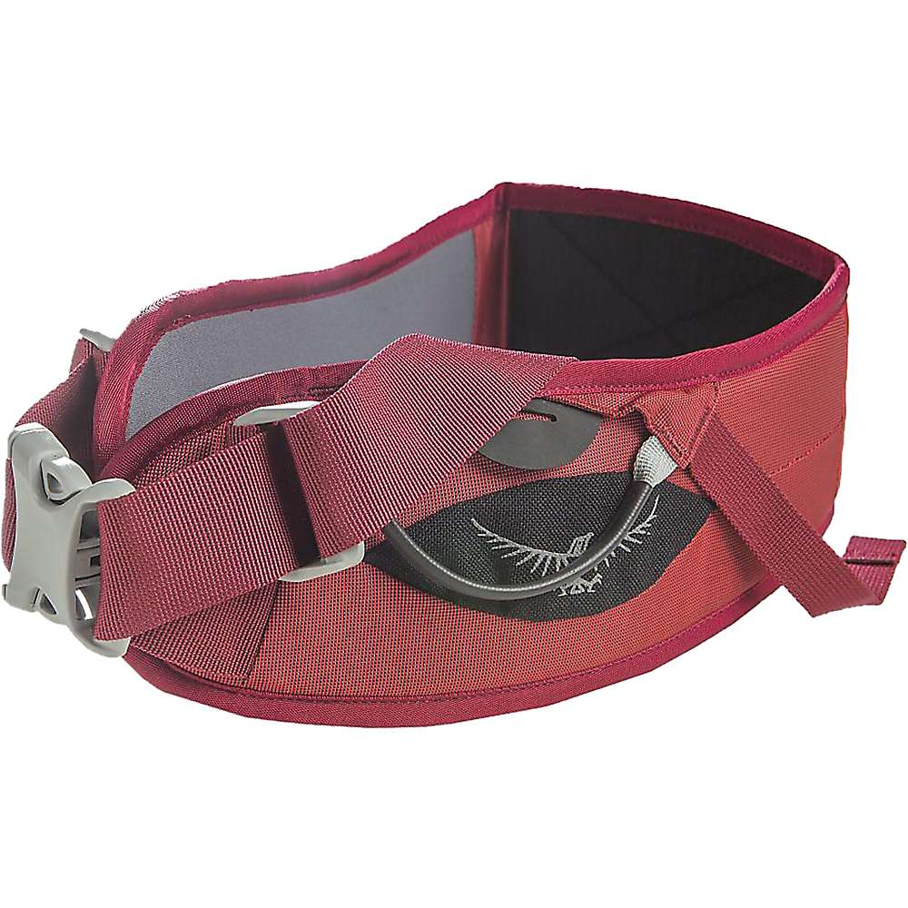 photo: Osprey Variant Hipbelt backpack accessory
