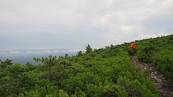IMG_1835.jpg