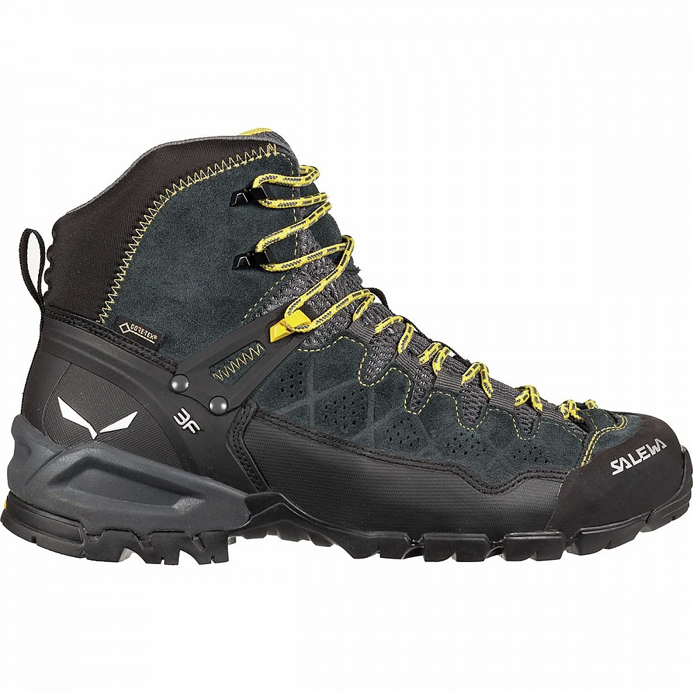 salewa ms alp trainer mid gtx review
