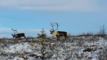IMG_1293.jpg