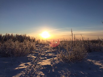 snow-scape.jpg