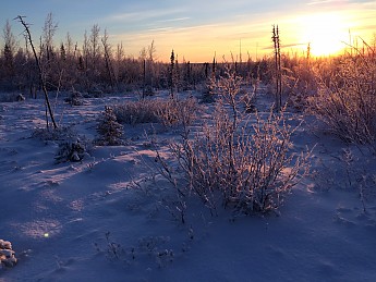 Snow-scape-2.jpg