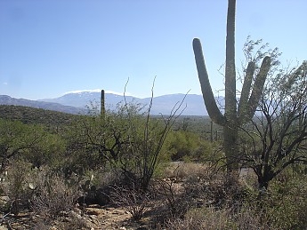 Tanque-Verde-Mountains-from-Bear-Canyon-