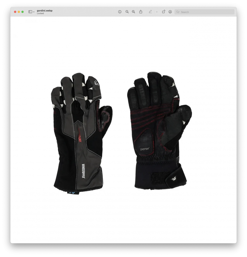 photo: Gordini Swagger insulated glove/mitten