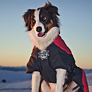 photo: D-Fa Puff-Doggy dog coat/vest