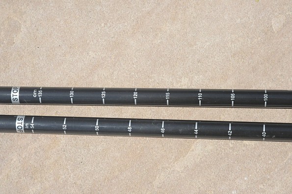 costco cascade trekking pole