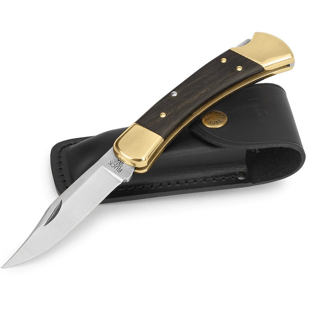 photo: Buck 110 Folding Hunter folding knife