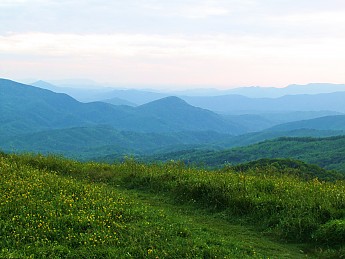 110.jpg