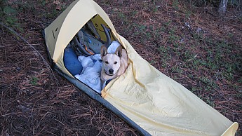 IMG_0329.jpg