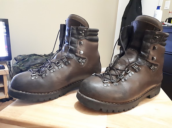 Meindl men's outlet perfekt hikers