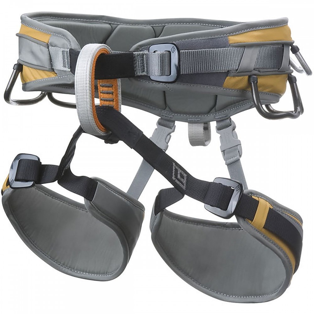 photo: Black Diamond Big Gun sit harness