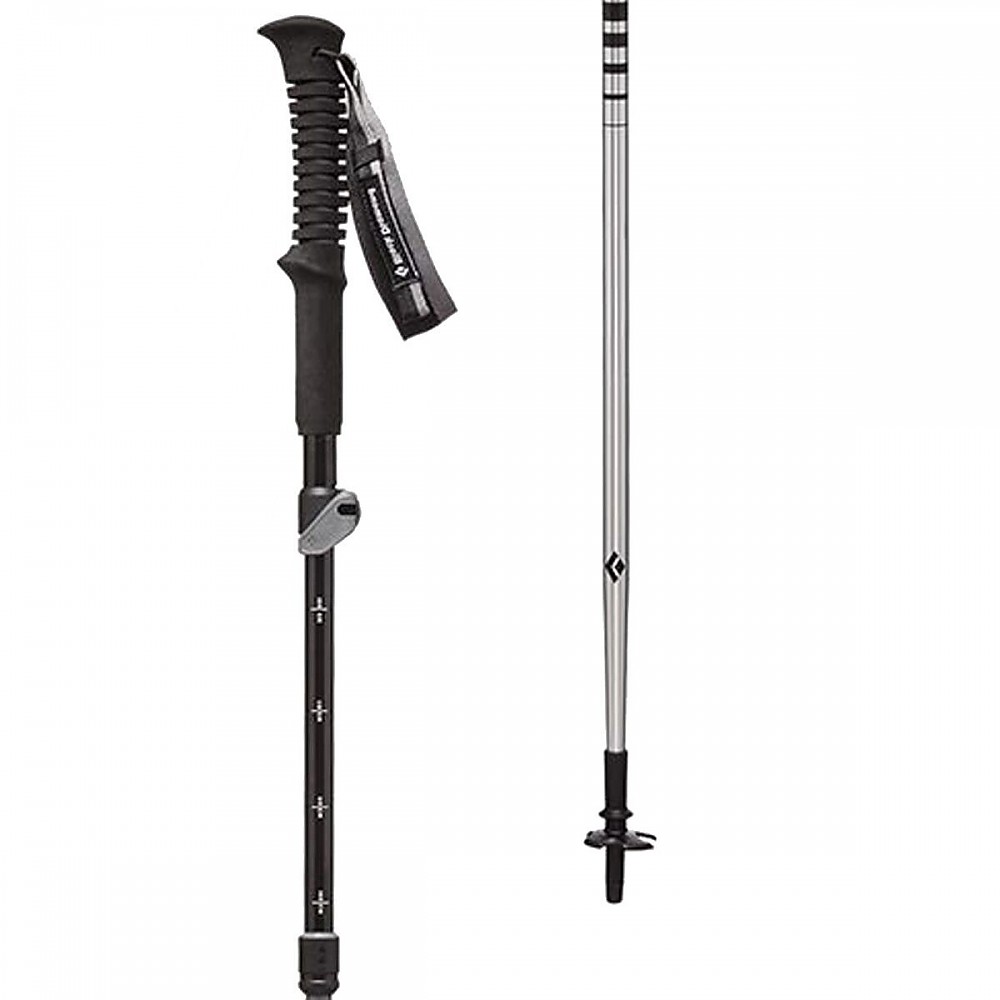 photo: Black Diamond Distance FLZ rigid trekking pole
