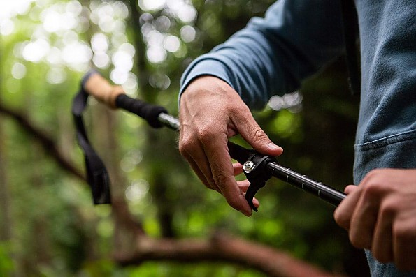 Cascade Mountain Tech Carbon Fiber Quick Lock Trekking Poles Cork Grip