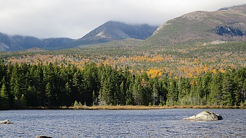 IMG_2664.jpg