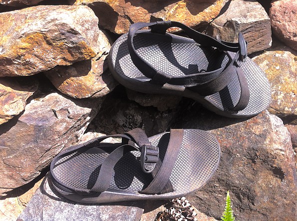 Chaco buckle online replacement