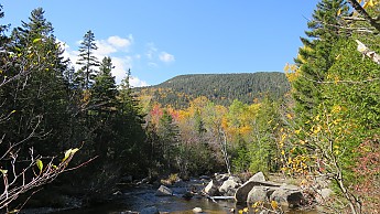 IMG_2682.jpg