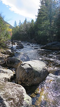 IMG_2685.jpg