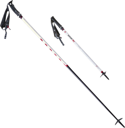 photo: MSR Deploy TR-2 alpine touring/telemark pole