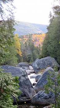 IMG_2690.jpg