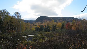 IMG_2696.jpg